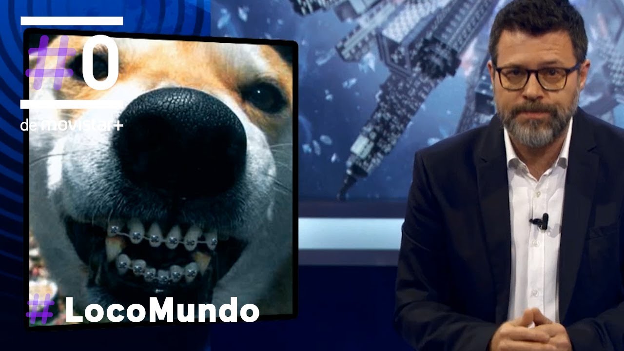 Locomundo: Tendemos a humanizarlas - Mascotas | #0