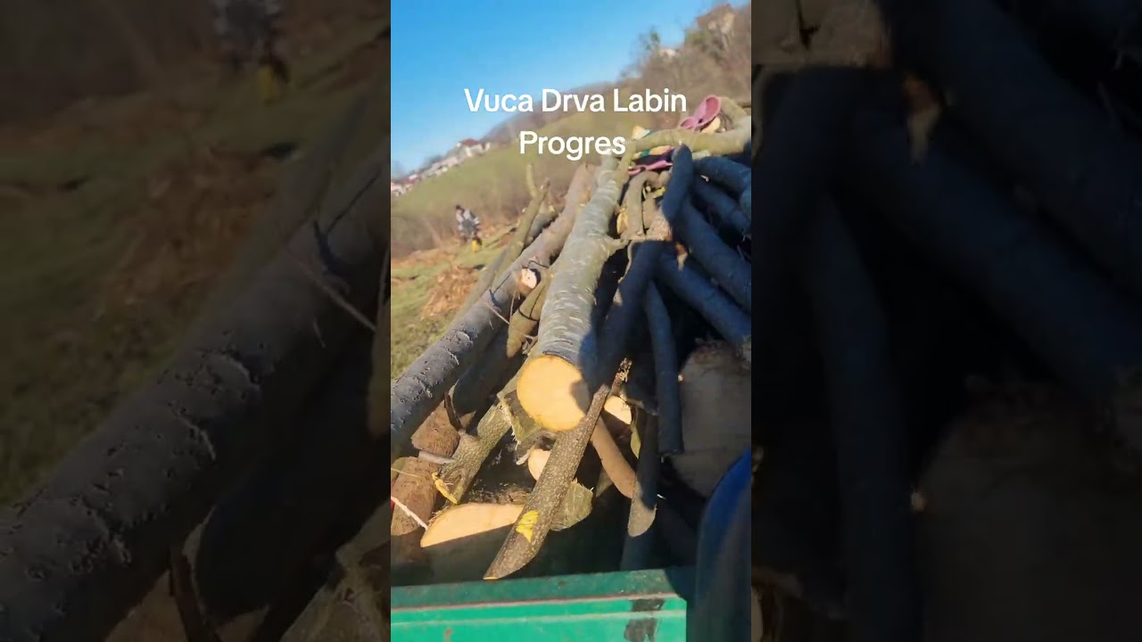 Labin Progres Vuča drva 2025 