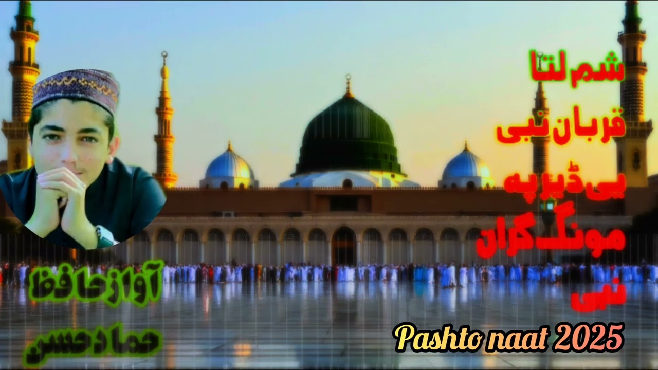 شم لتا قربان نبی awaz Hafiz Hammad Hassan mardan 💯💔 