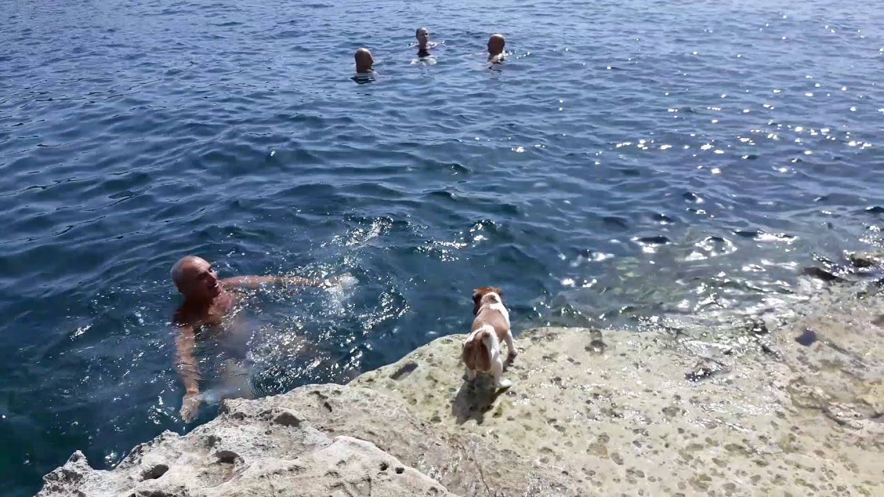 Tina's first swim in st'Peter's pool