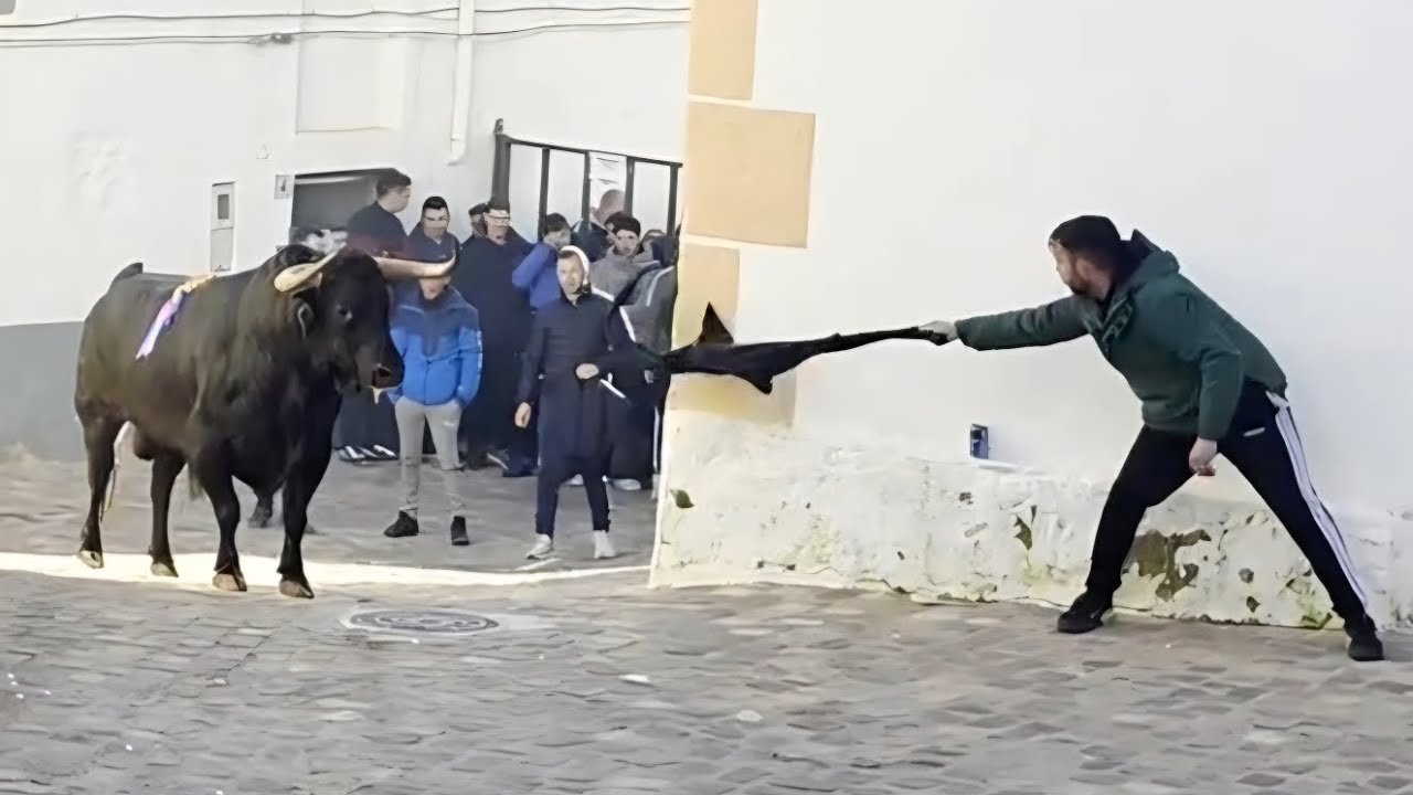 Provoca al toro lanzando su chaqueta y el momento se vuelve PELIGROSO