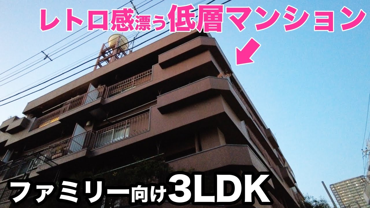 【中古マンション】中央線沿いの駅近徒歩3分！3LDKヴィンテージ物件を内見