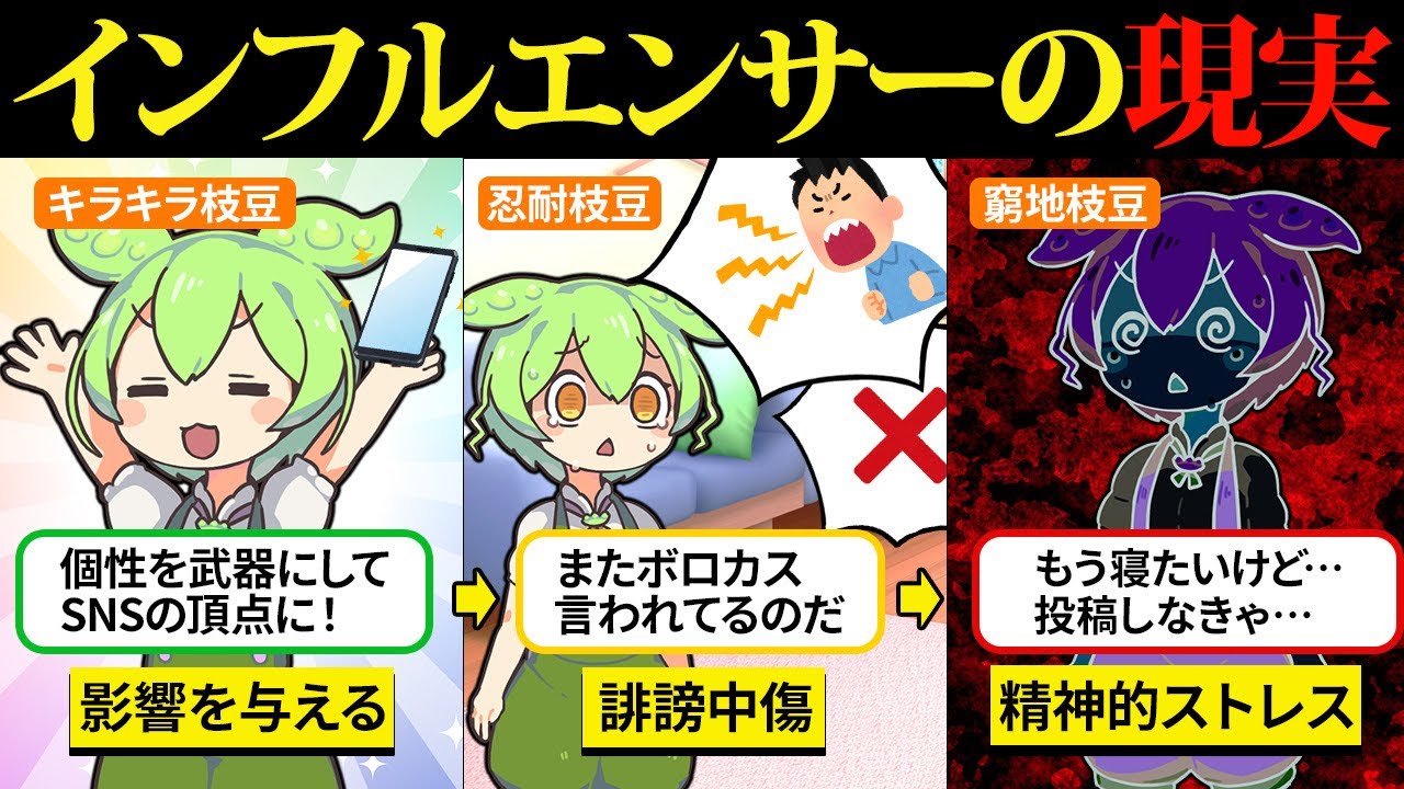 インフルエンサーになったけどキラキラだけではやっていけない現実が待ってた…【ずんだもん＆ゆっくり解説】