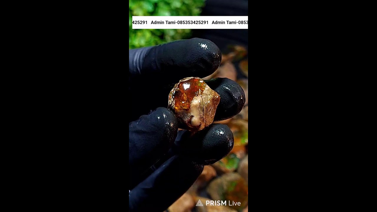 Siaran langsung CAKRA DEWA