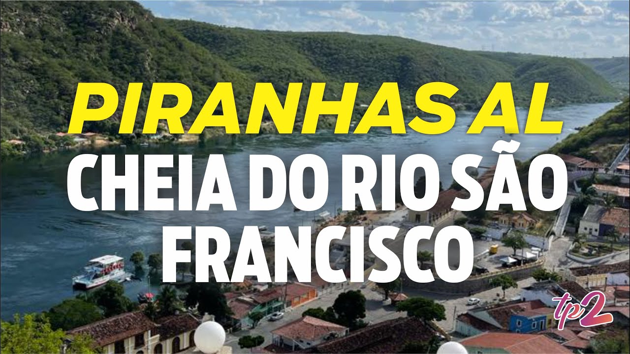 tudopara2 | PIRANHAS AL: Cheia do Rio São Francisco em 2022