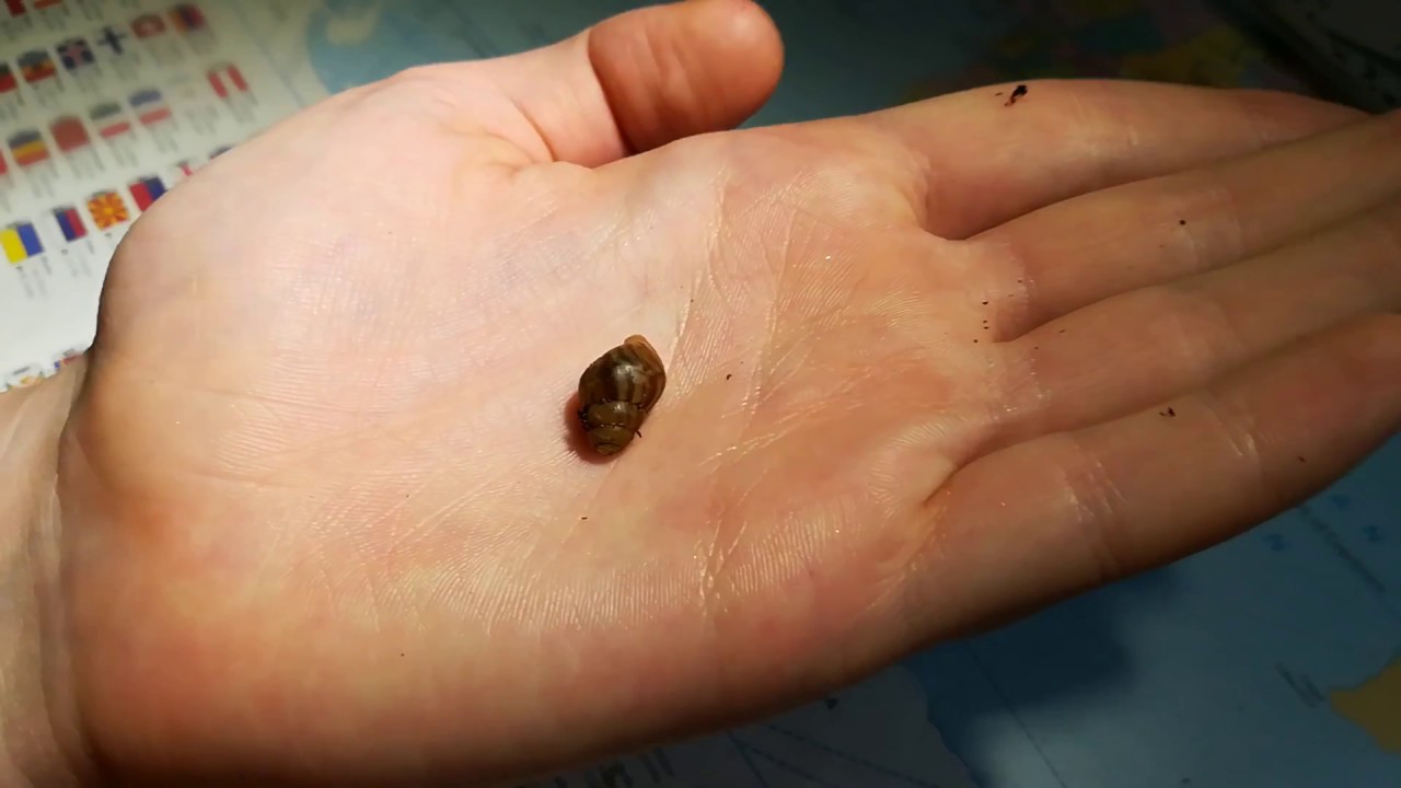 Faunatrhy Ostrava-Co jsem si koupila #2