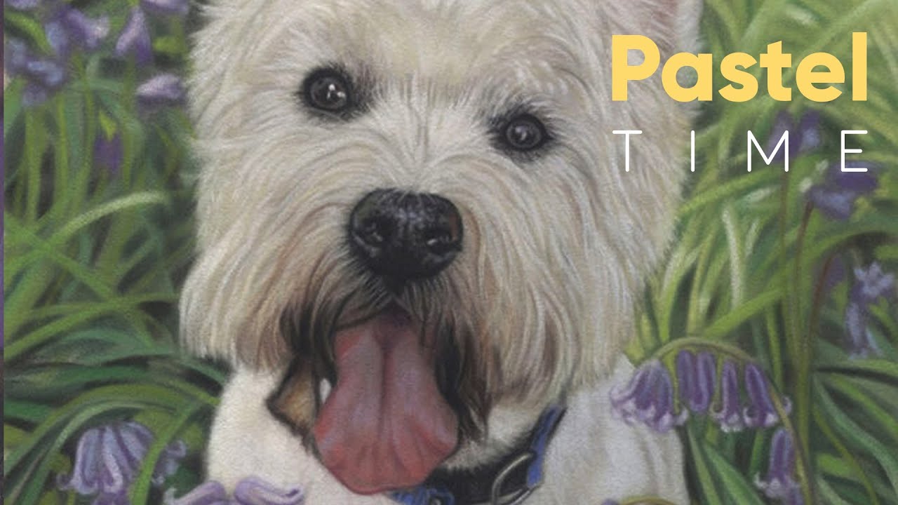 Westie in Bluebells in Soft Pastel - Timelapse