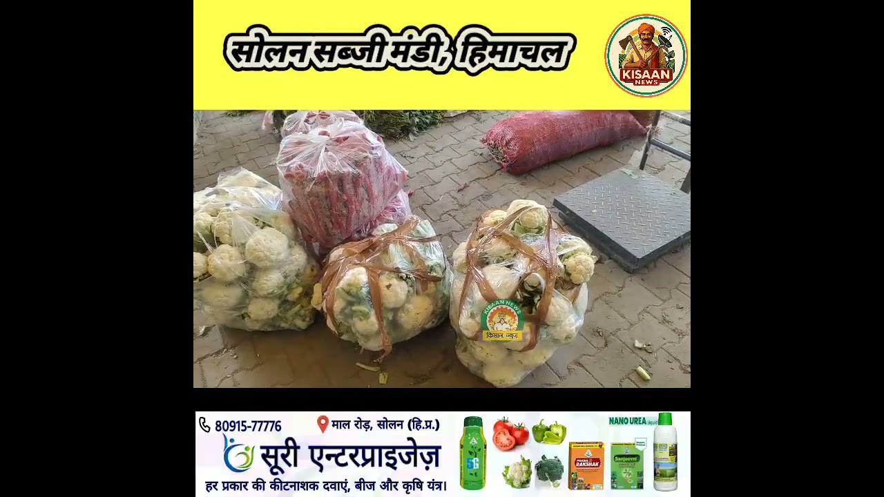 27 फरवरी 2026।। लाइव कवरेज सोलन सब्जी मंडी हिमाचल प्रदेश।।#kisaannews किसान न्यूज Kisaan News