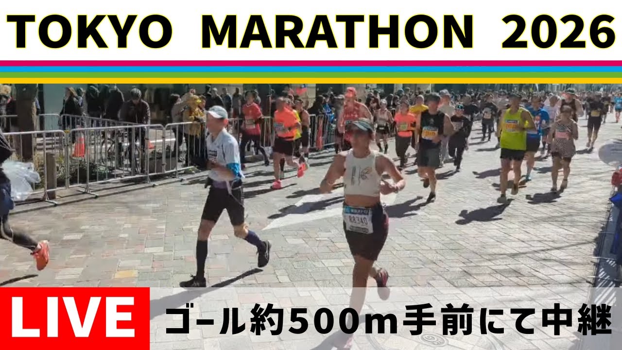 【高画質FHDライブカメラ】東京マラソン2026　ゴール手前約500m　最終コーナー手前丸の内仲通り直線　Tokyo Marathon 2026【live camera】2026/03/01