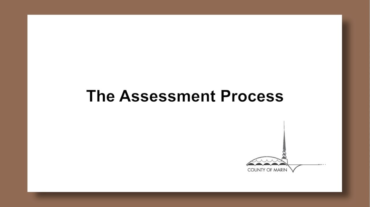 2 - The Assessment Process