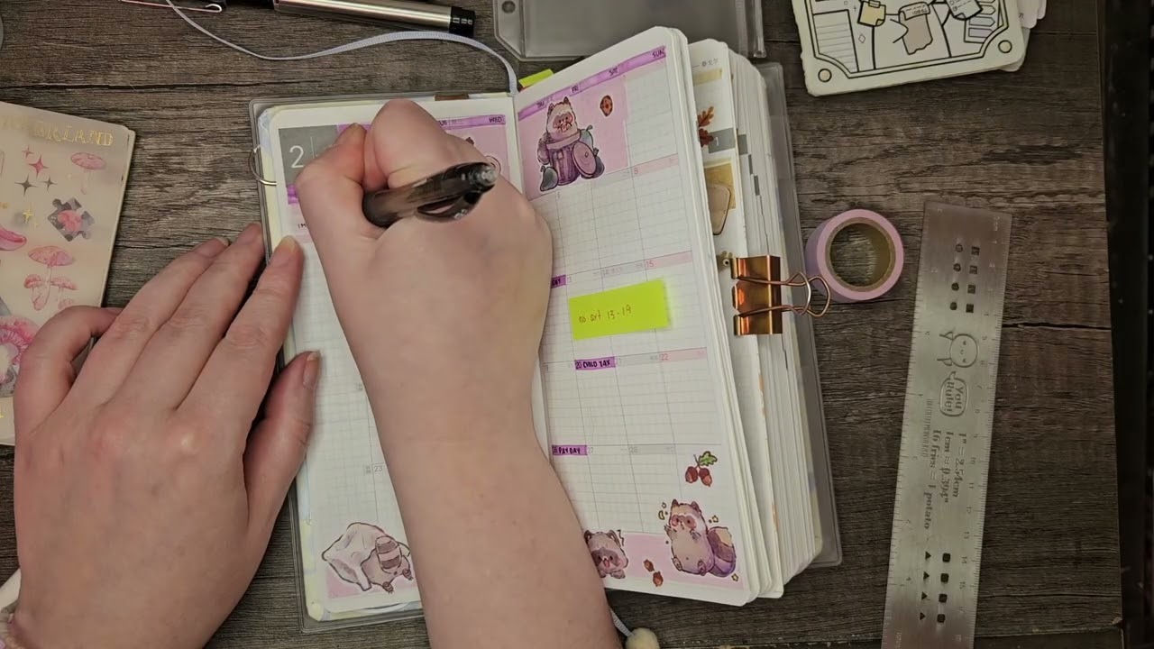 February Set up | Kinbor Weeks