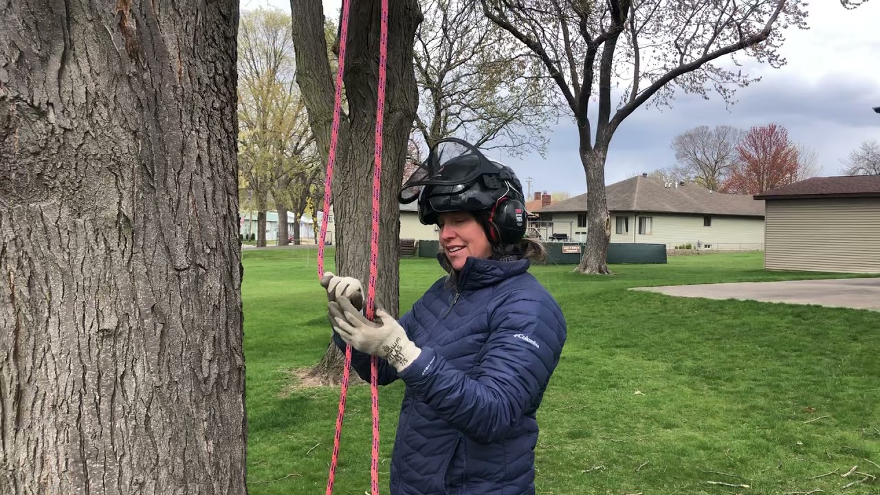 Alpine Butterfly How To Tie For In Line Anchor, Cinching Canopy Anchor