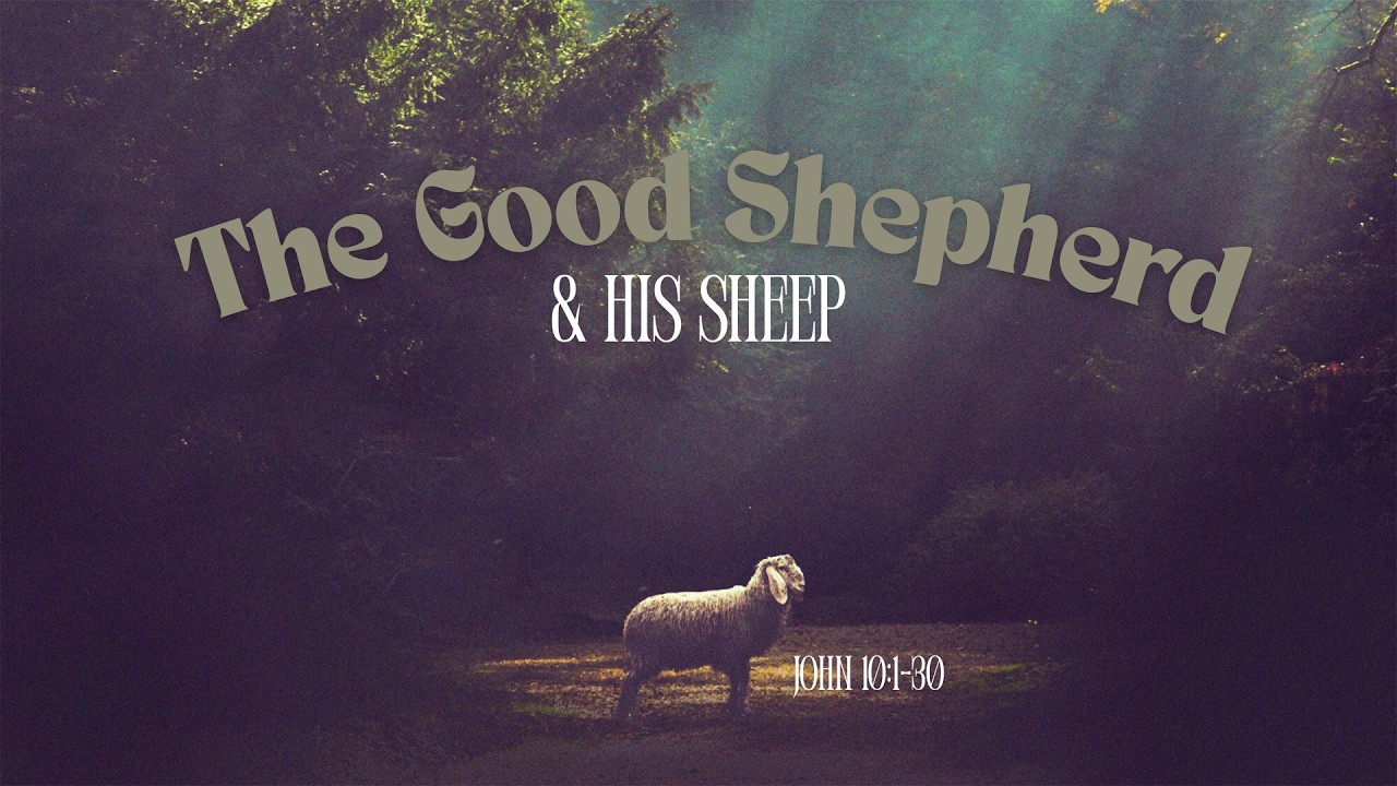 The Good Shepherd & His Sheep - 3-15-2026