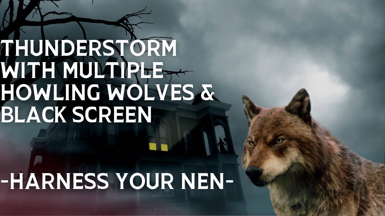 Thunderstorm with howling wolves and black screen. Sleep aid and wilderness sounds.