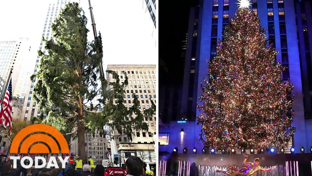 Hoda And Jenna Give The Rockefeller Christmas Tree An ‘Am-Bush’ Makeover | TODAY