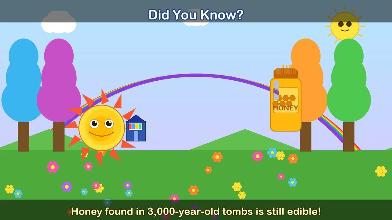 Did You Know? Amazing Facts About Animals, Space & Nature | Airbears Adventures