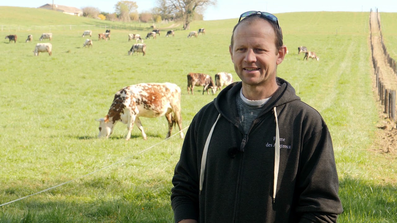 Programme RACINE – AGROFORESTERIE et ELEVAGE – 2 éleveurs témoignent