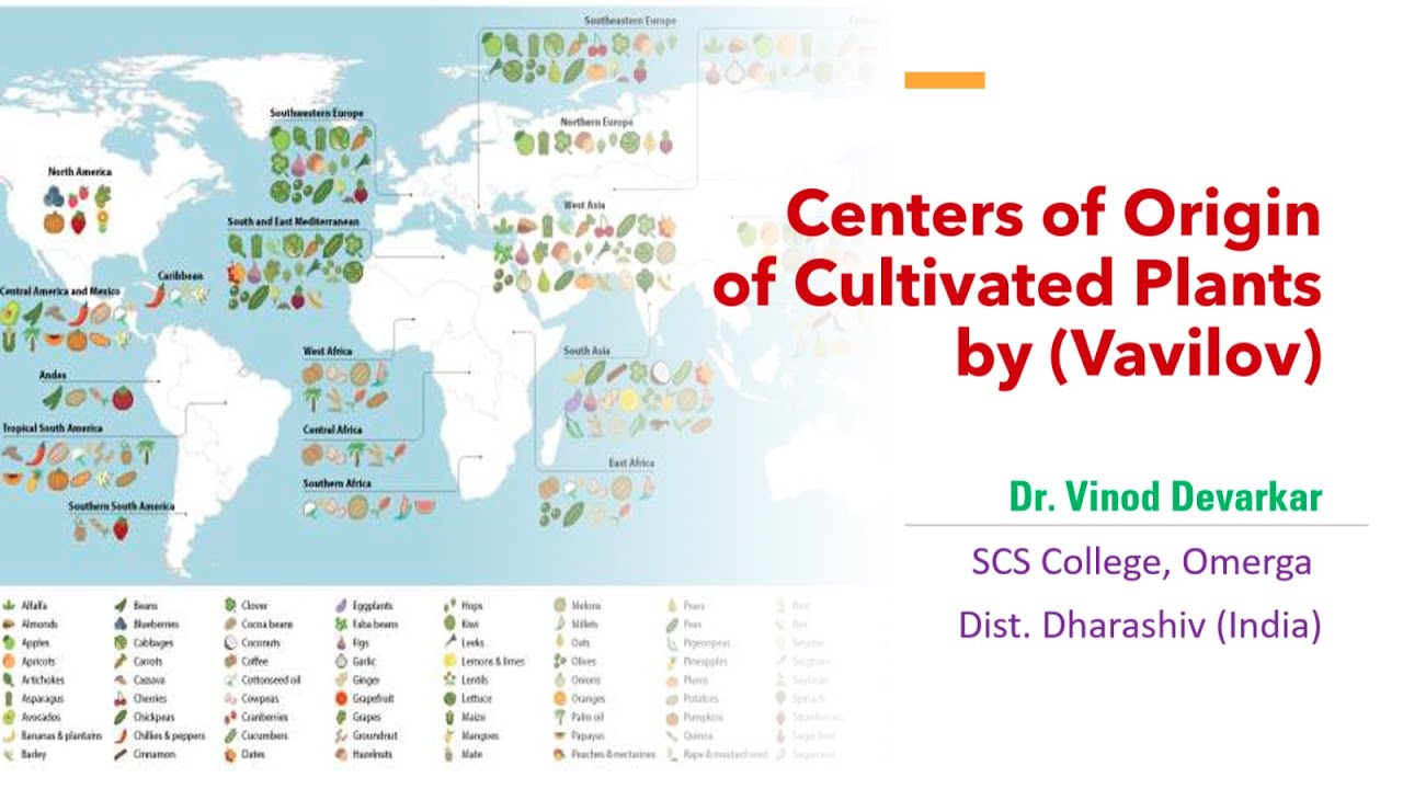 Vavilov's Centers of Origin of Cultivated Plants  I Dr. V. D. Devarkar