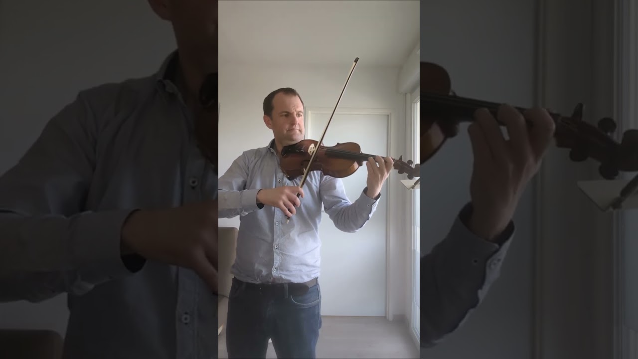 Mourir sur scène - Dalila - violin cover