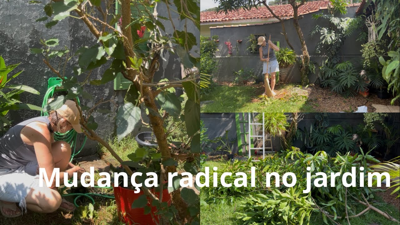 Tive que pegar alguém para me ajudar 🌿🪴🌺🌼 🏡 
