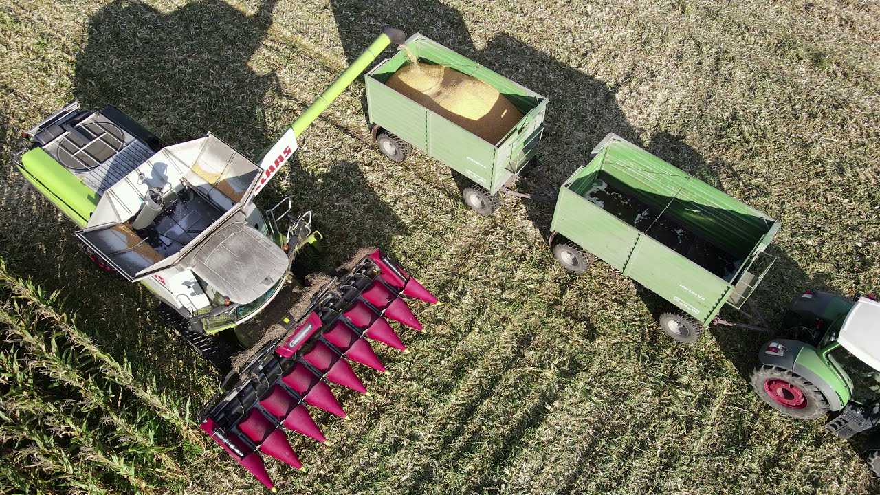 CLAAS LEXION 770TT (8 рядов) уборочная кукуруза / Ulrich Widmer KG / Altmark / 4K