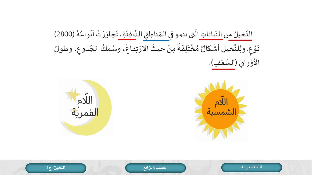 الصف الرابع اللغة العربية النخيل ج1