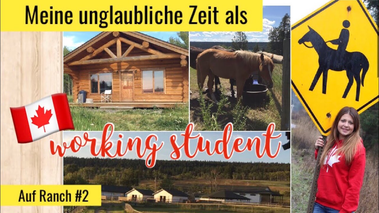 3 | working student & Erlebnisse auf Ranch #2