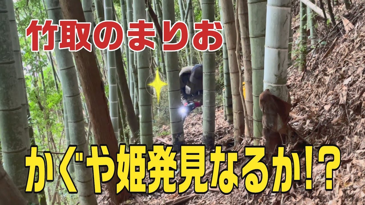 episode#35 炭化サイクル、始めます。