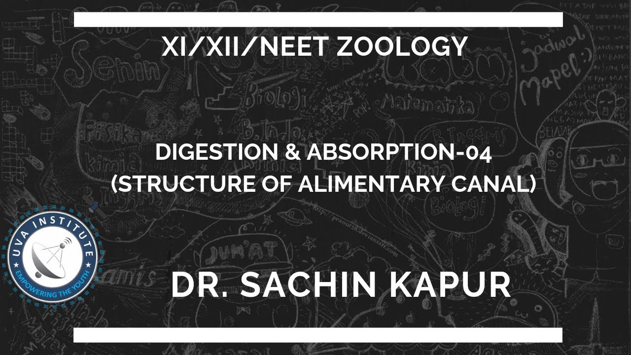Digestion & Absorption-04,  Class XI/XII/NEET by Dr. Sachin Kapur