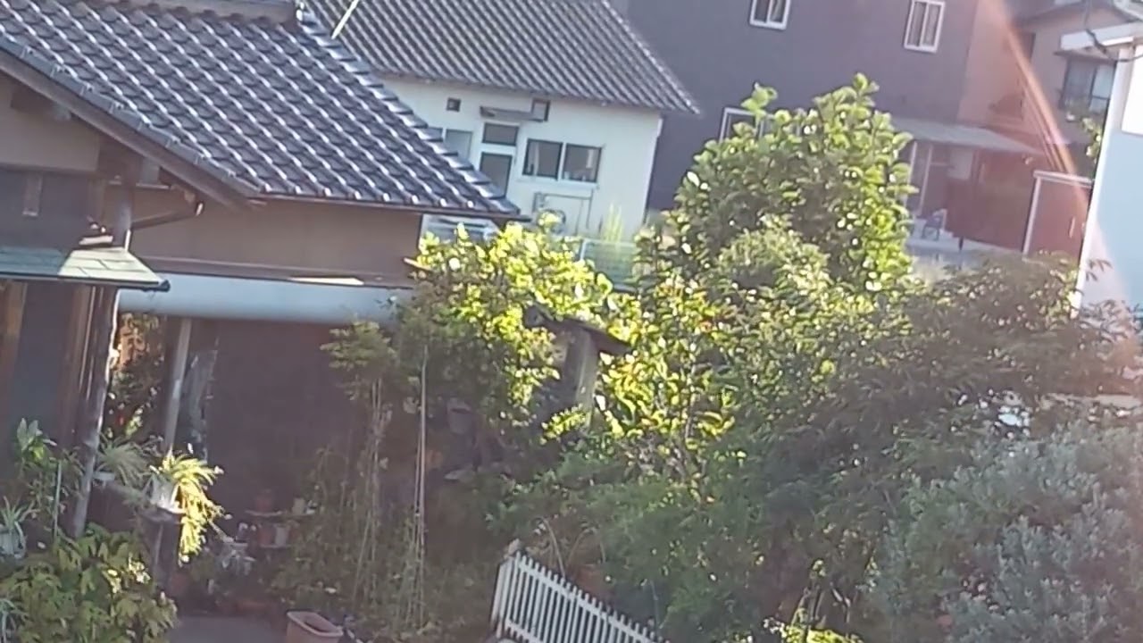 資料 半逆光① ゴースト 2024年09月23日 16時34分