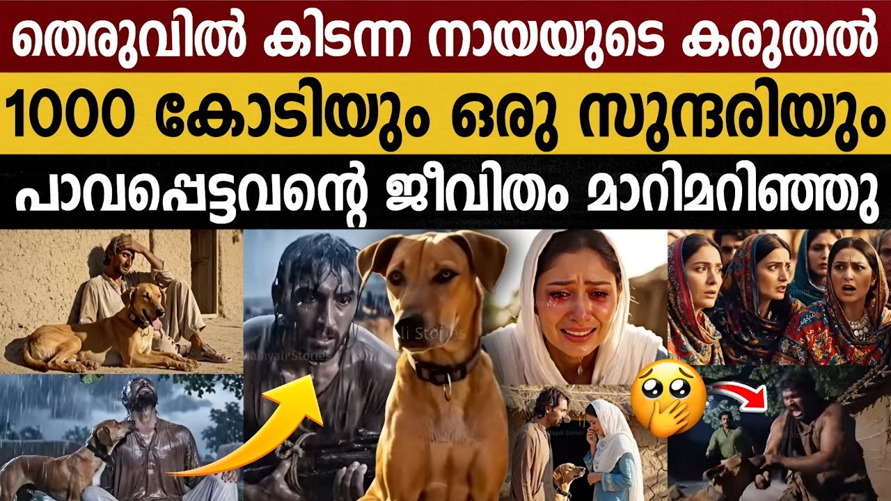 വിശ്വസ്തനായ ആ നായ അവനെ സമ്പന്നനാക്കി!! നാട് മുഴുവൻ ഞെട്ടി!! | The Loyal Dog and the Hidden Treasure 