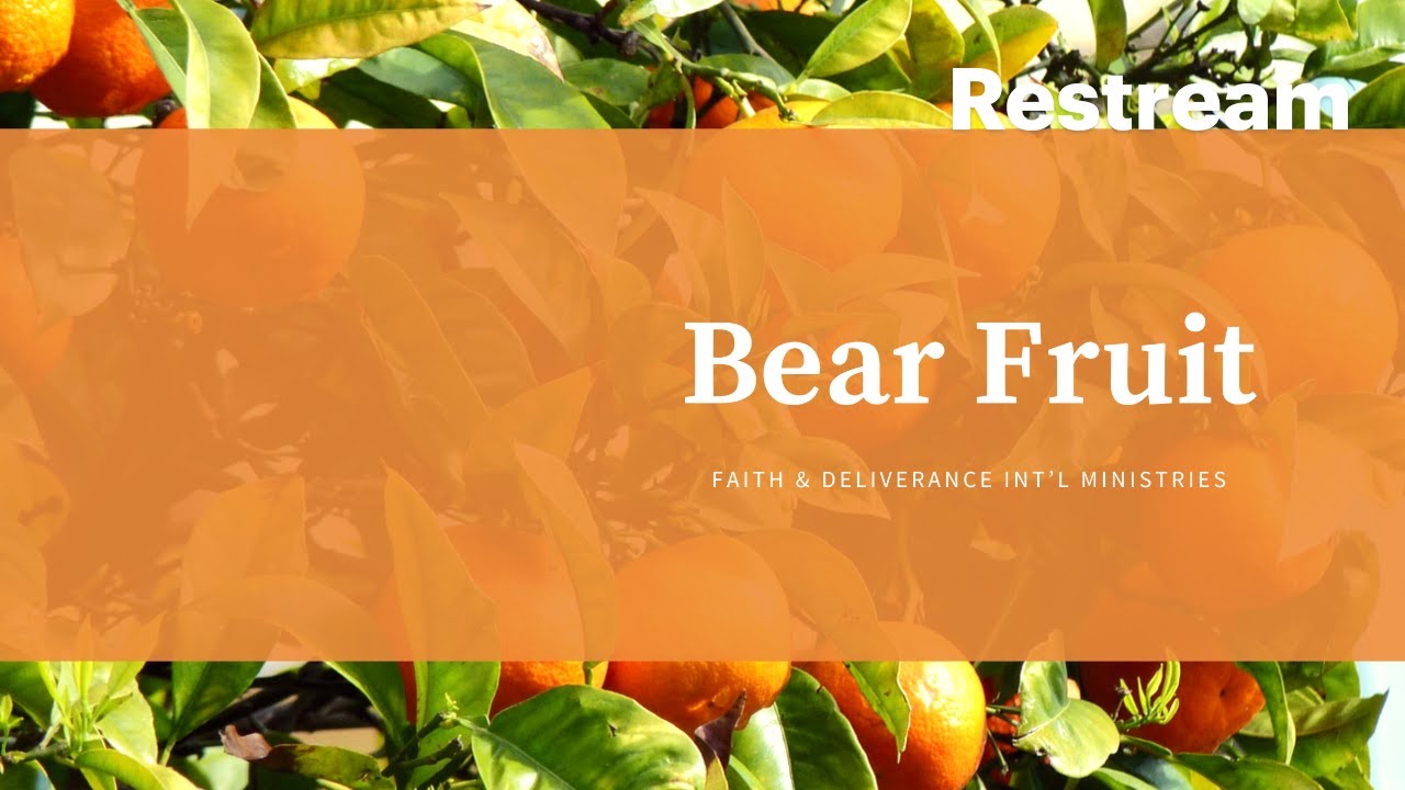 We Must Bear Fruit