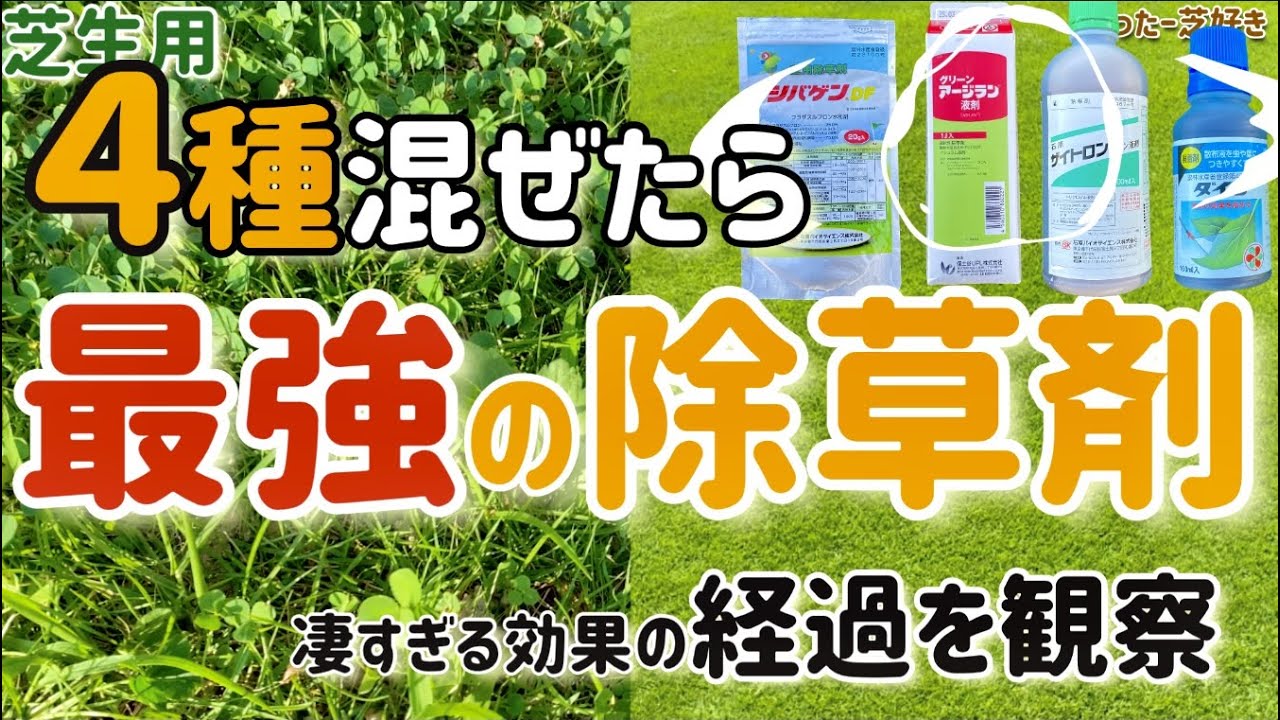 【芝生】シバゲンを最強カスタマイズした結果【混合除草剤】