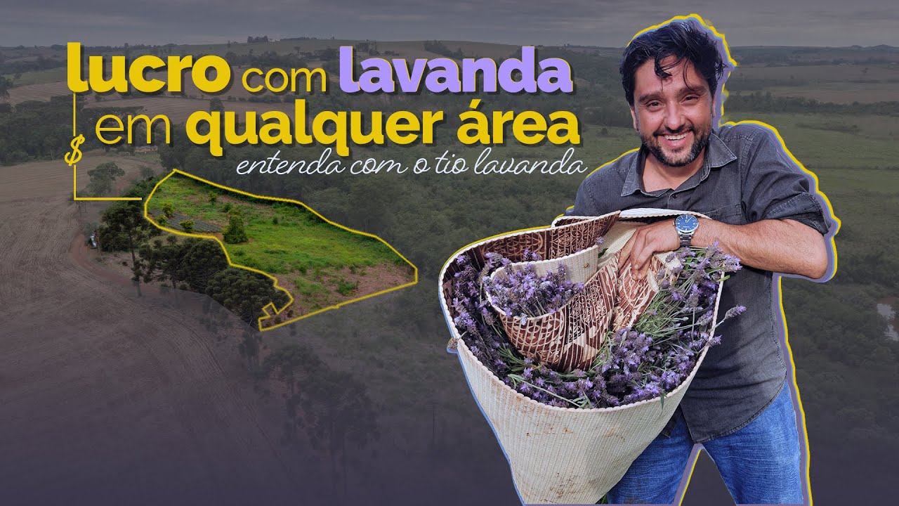 🌿 Transforme Qualquer área em ouro com a Lavanda! | Dicas do Tio Lavanda