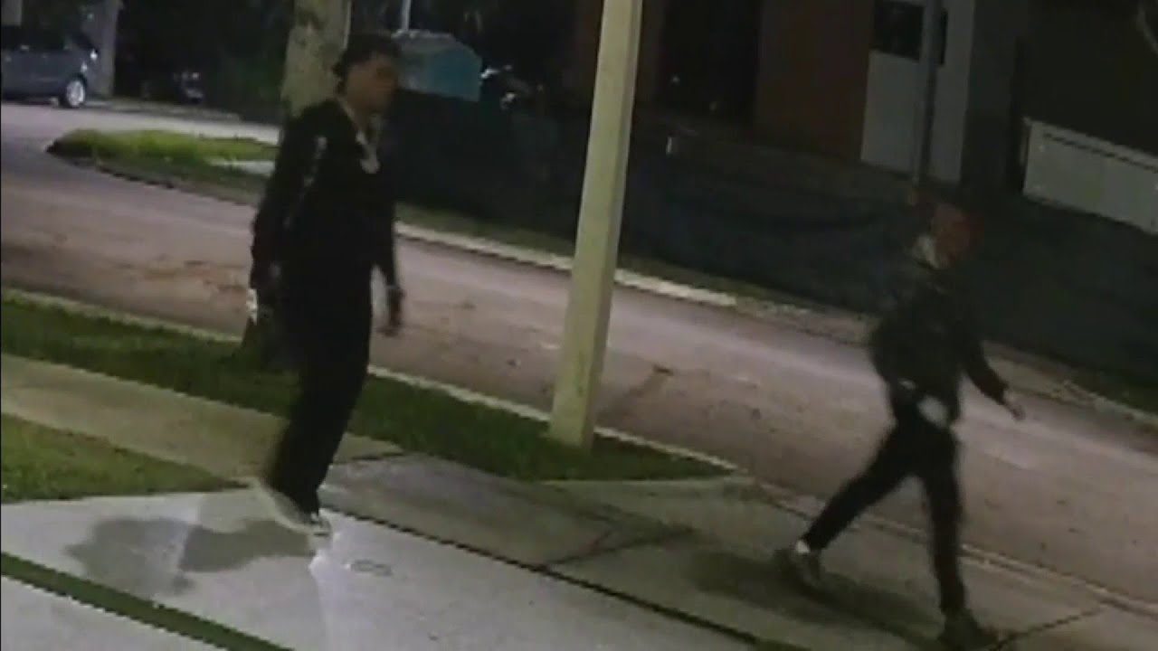 Suspects in expensive car thefts caught on security camera