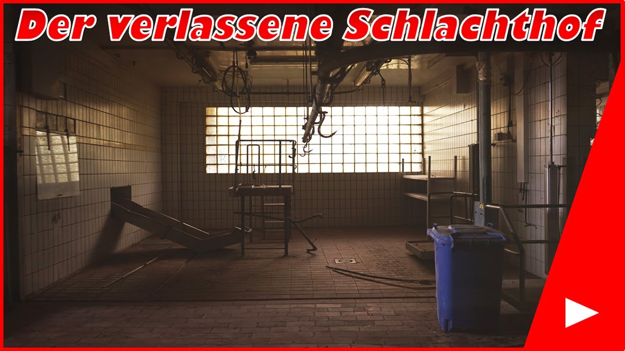 Lost Places #107 Der verlassene Schlachthof | Mr. & Mrs. Lost
