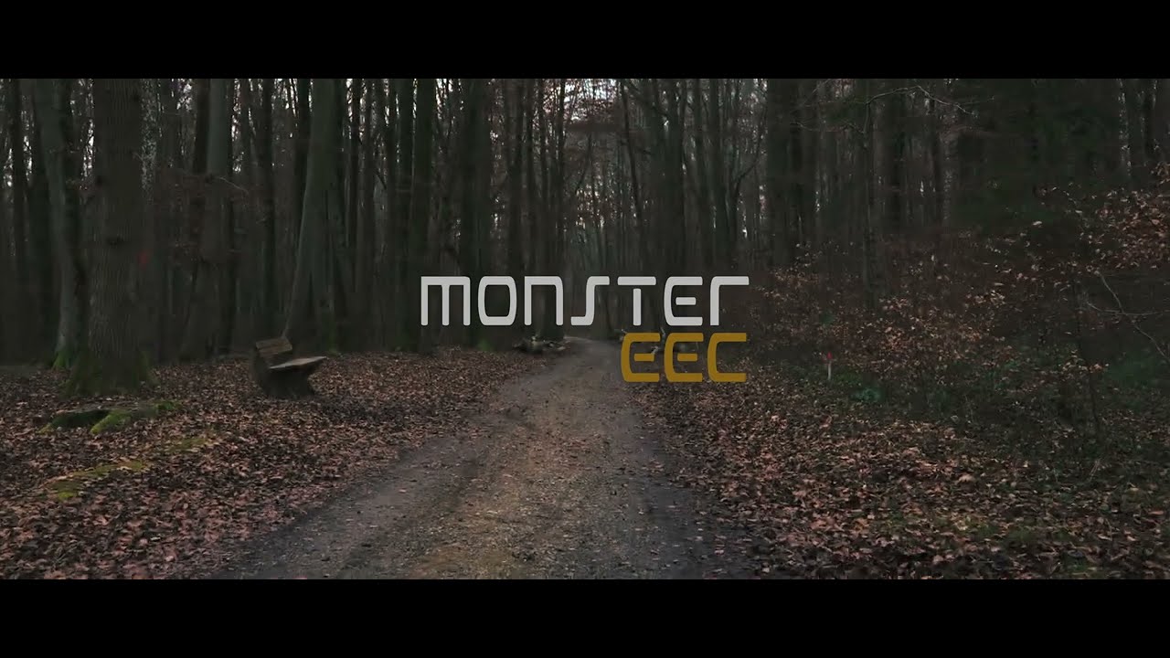 SXT Scooters - Monster EEC | Commercial | E-Scooter