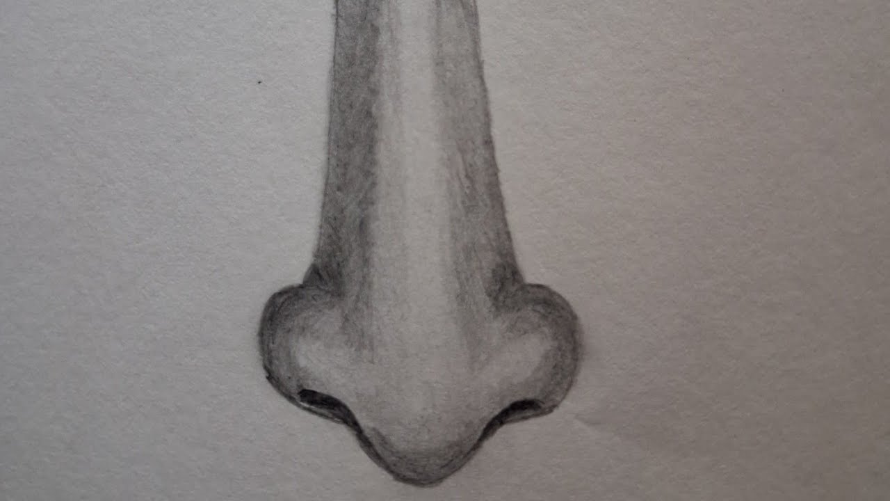 #how to draw a nose#viralvideo#art#drawing#howtodraw#drawingtutorial#tutorial#learning#nose#pencil