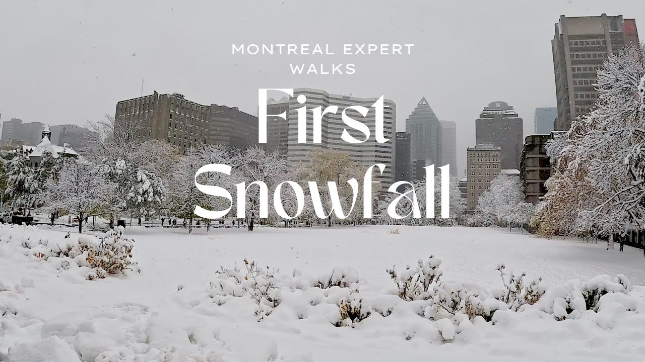 Montréal's First Snow of 2025