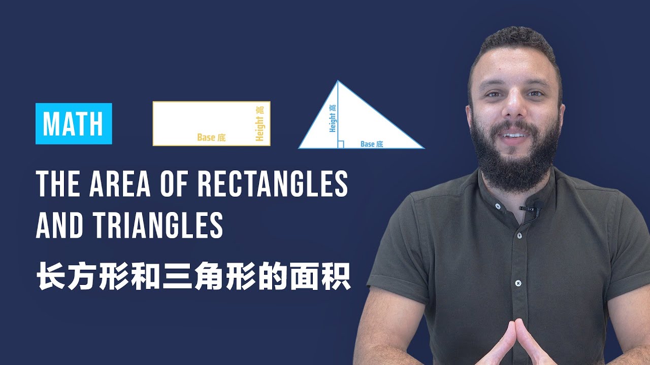Math: The Area of Rectangles and Triangles 数学：长方形和三角形的面积