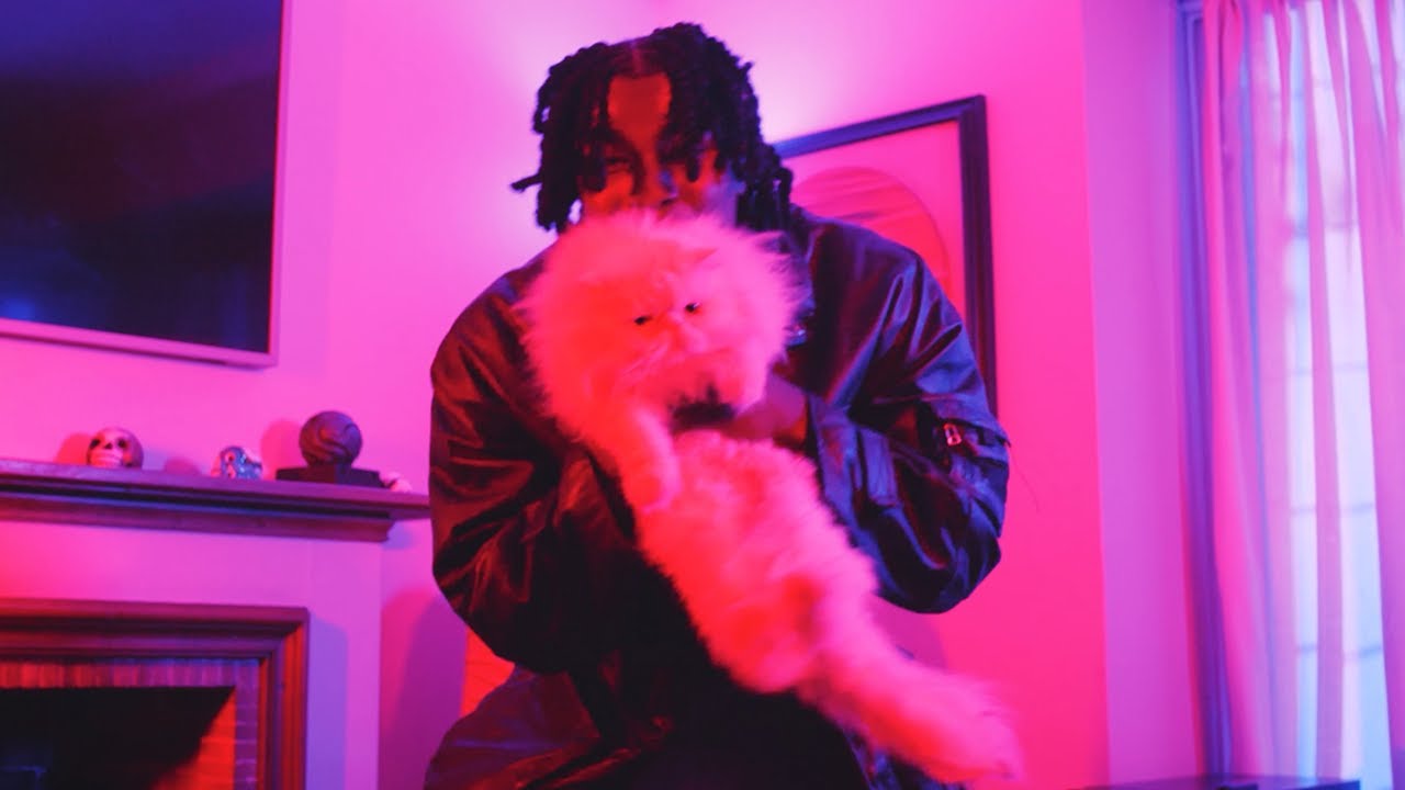 Mike Milfort - Con Mis Gatos (Official Video)