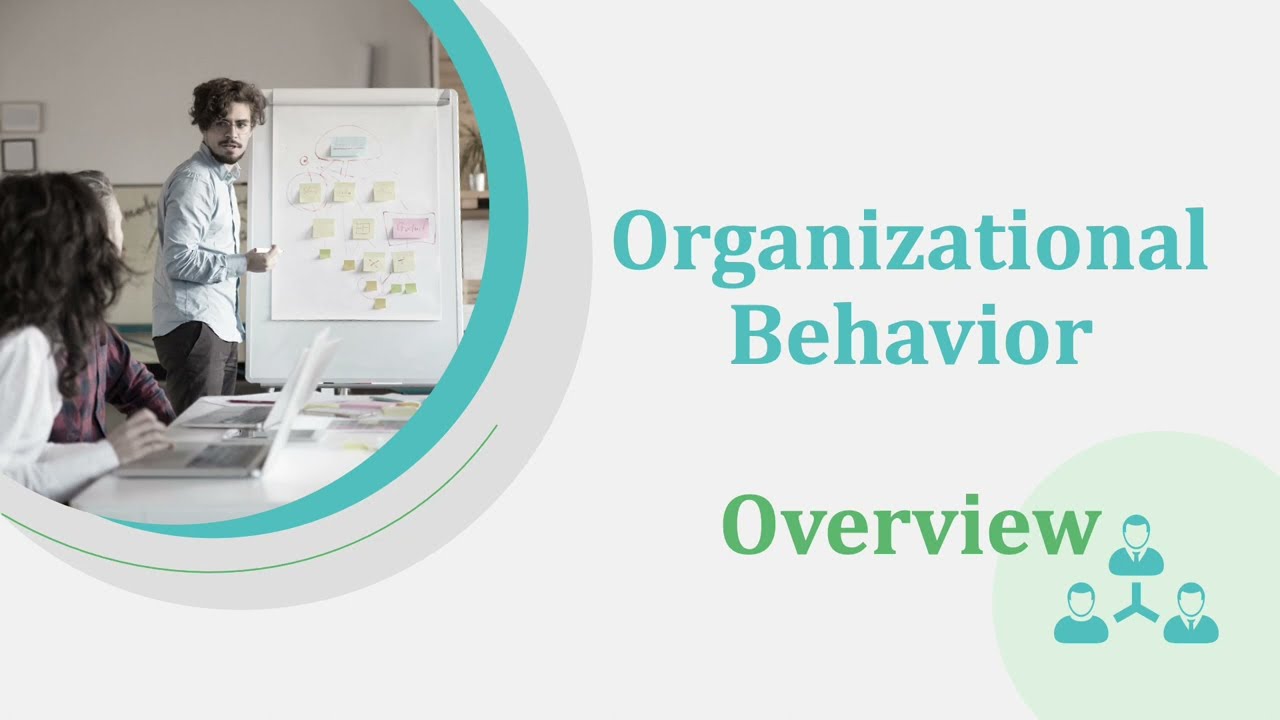 Organizational Behavior Overview | the 3 OB Levels