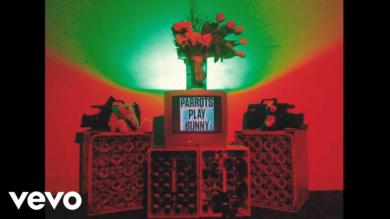 The Parrots - Soy Peor