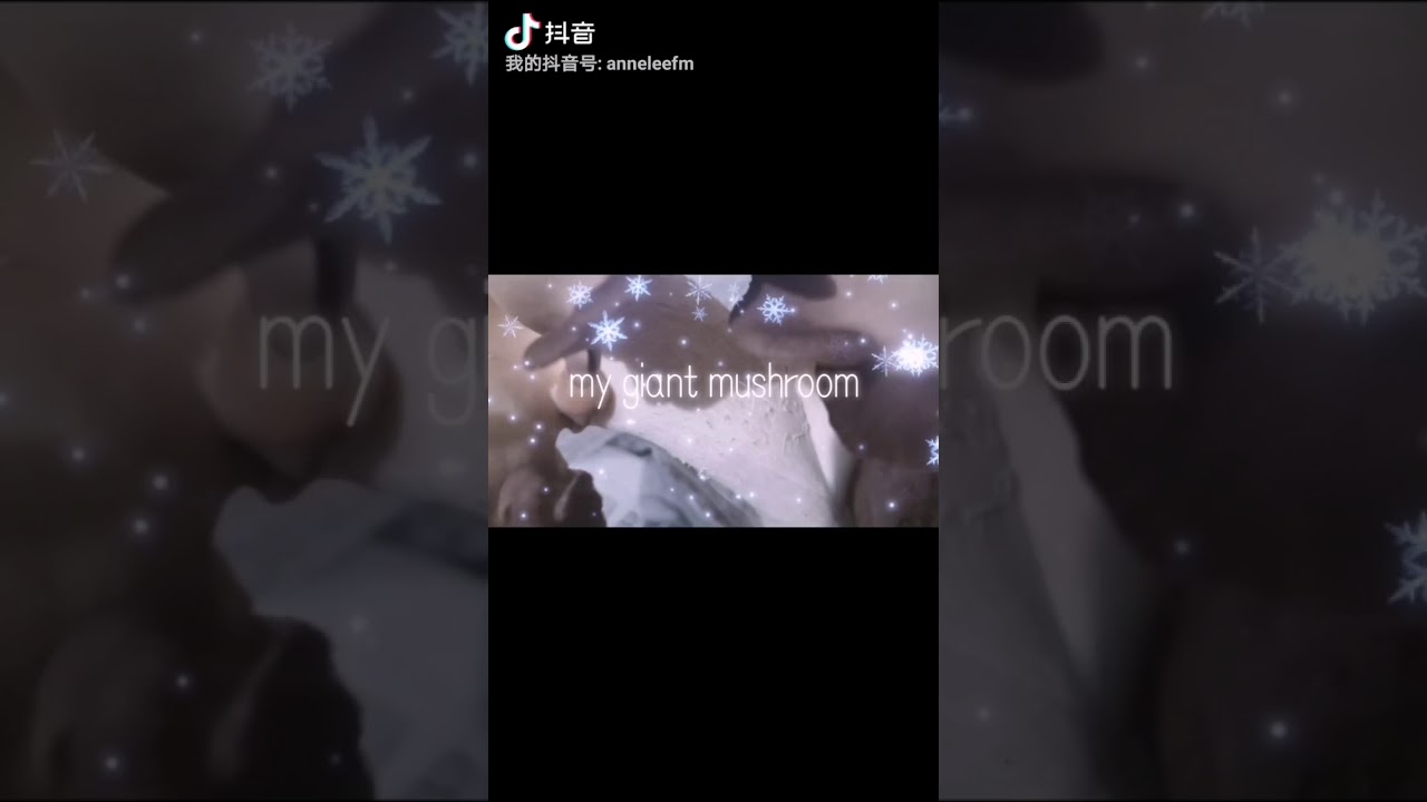 【anneleefm】