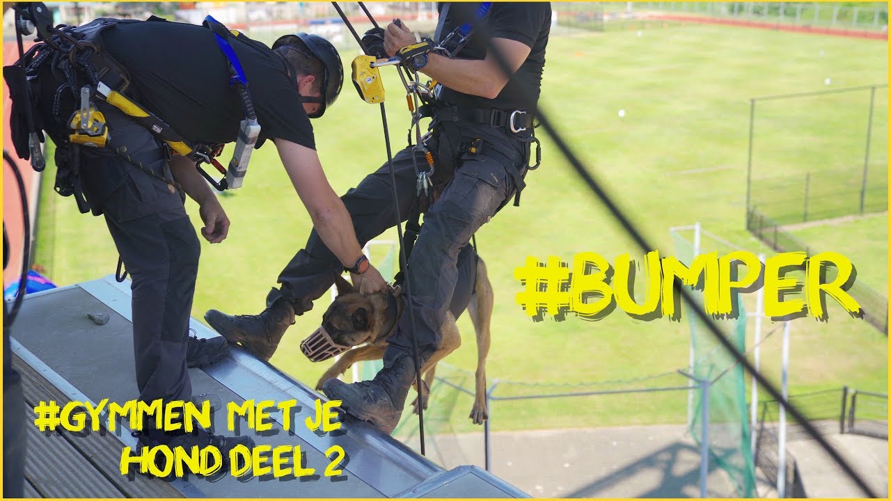 Bumper gymmen met je hond DEEL 2