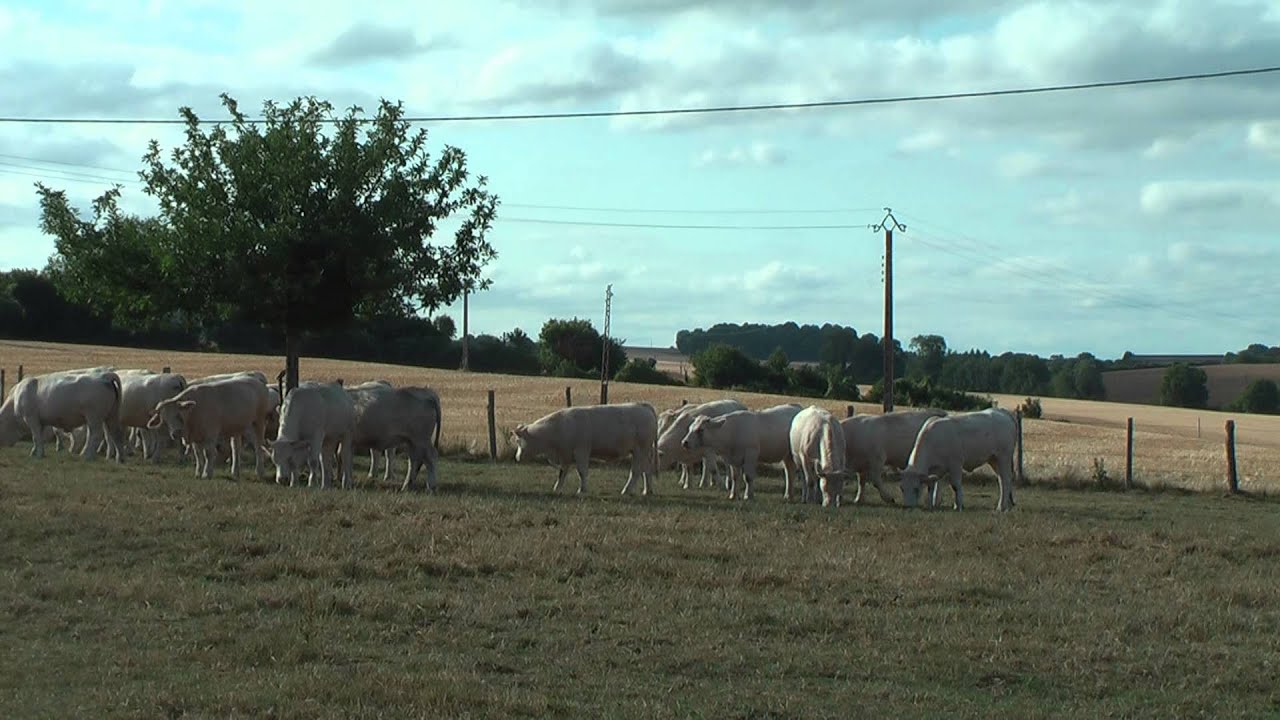 Perche-en-Noc&eacute; - Orne - Lower Normandy France: tourism and sights