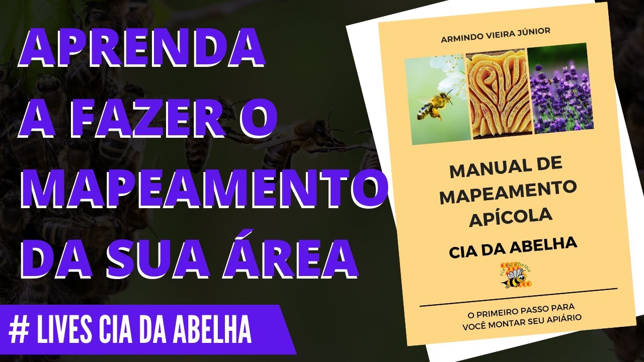 APRENDA A FAZER O MAPEAMENTO APÍCOLA DA SUA ÁREA