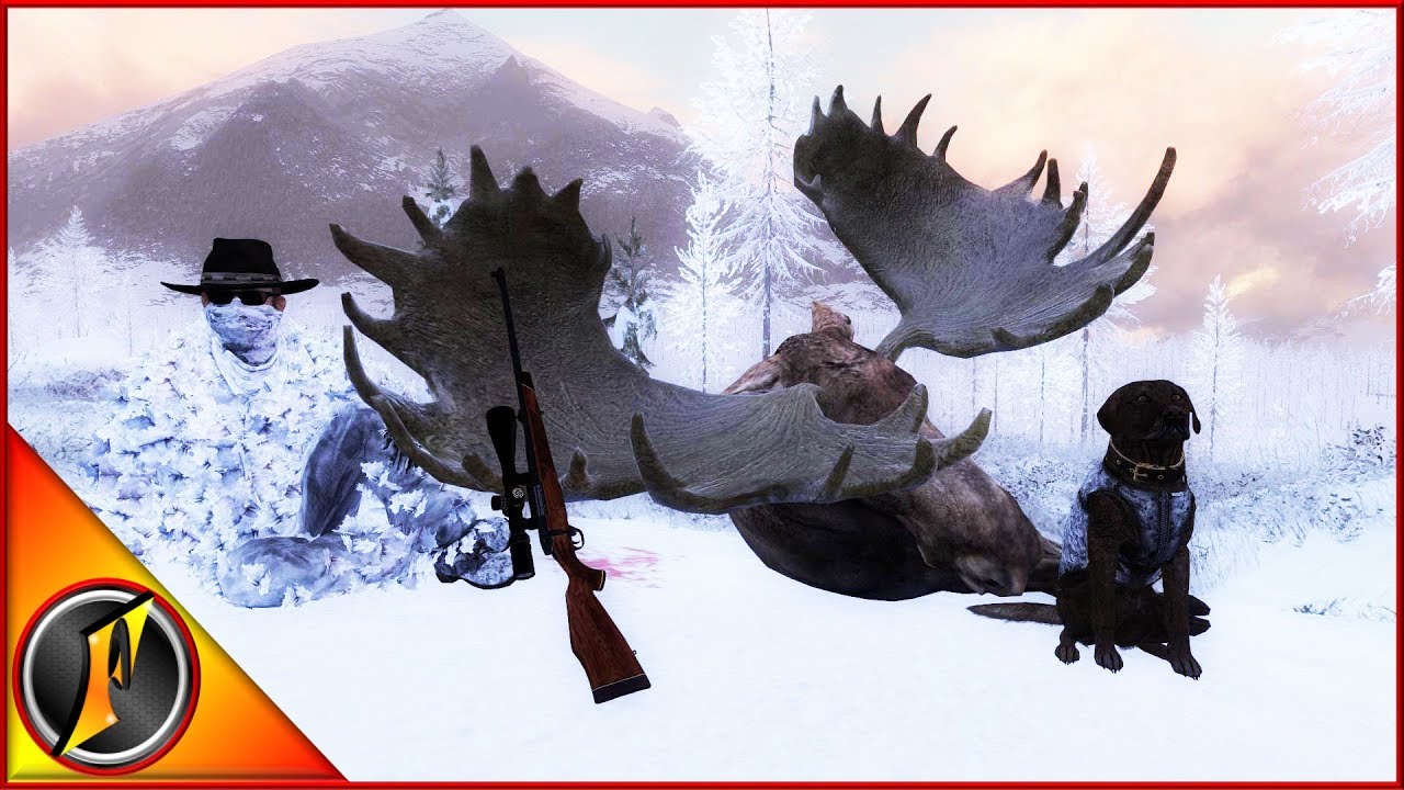 Охота на снежных гусей с неожиданным появлением огромного лося!