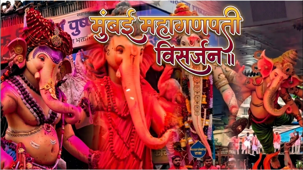 Mumbai All Biggest Ganpati Highlights🌺🙏 Mumbai Ganpati Darshan|Mumbaikar Favourite Festival. 