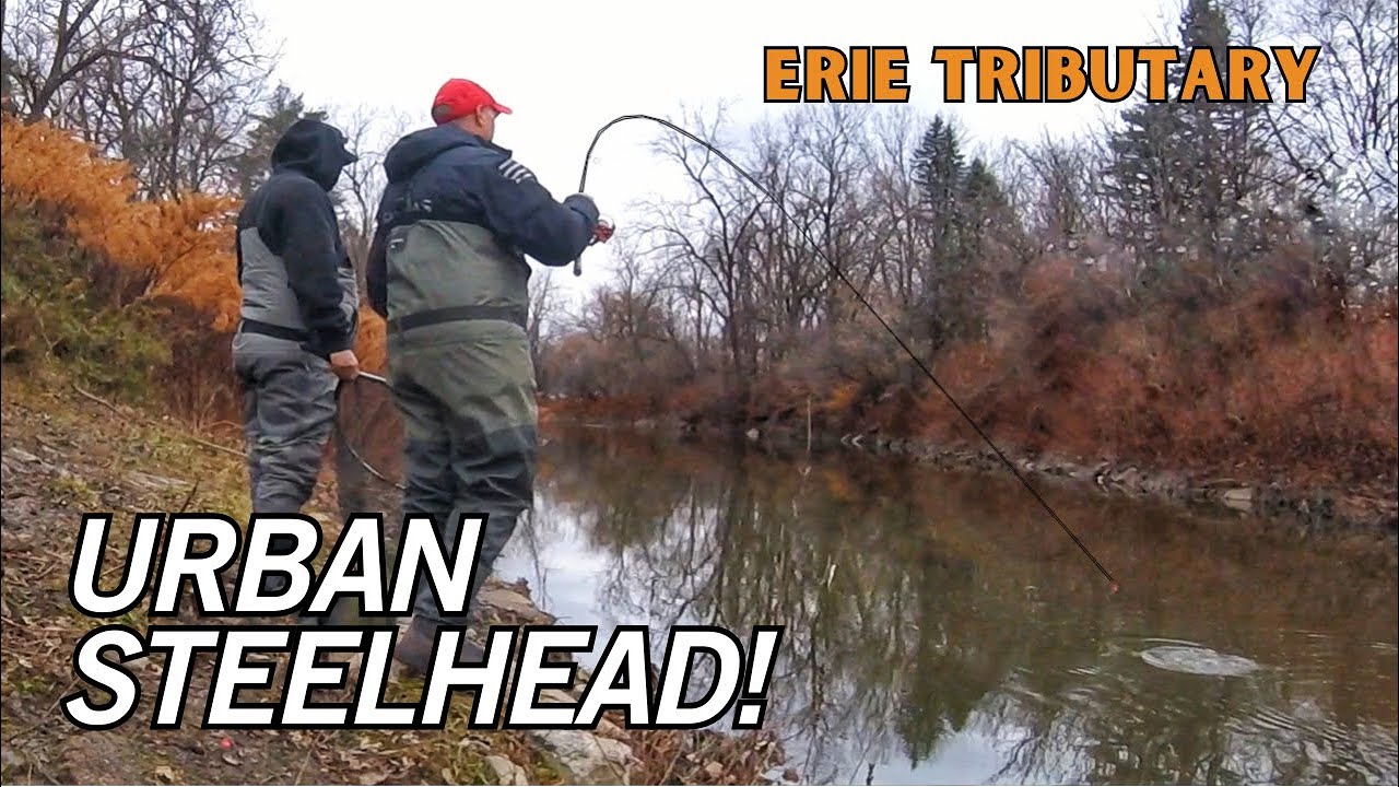 HOW TO catch PRESSURED steelhead. [Fishing for Erie Steelhead]